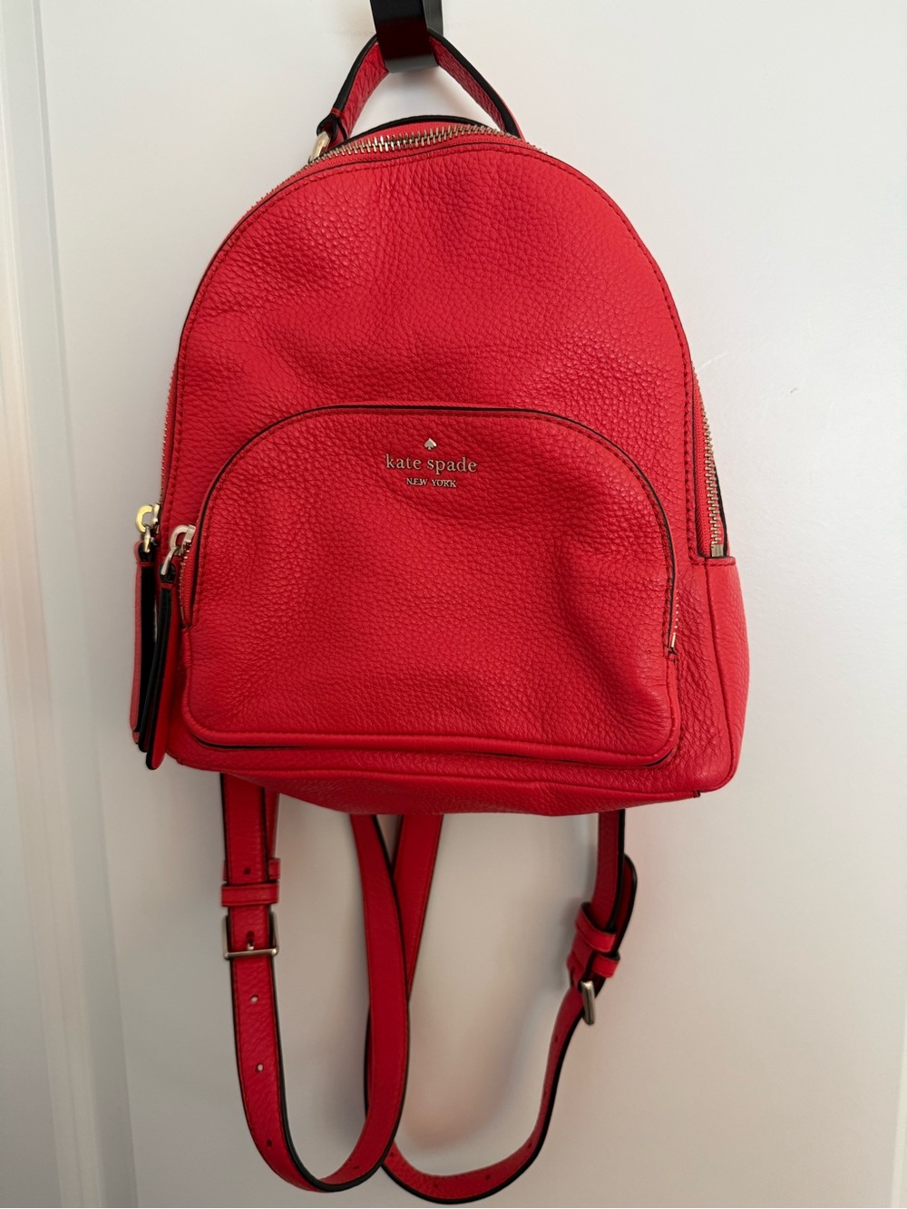 Kate Spade Carter Street Mini Caden Backpack Pebbled Leather Picnic Red
